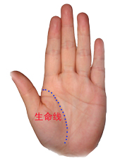 命运掌握自己手上,命运掌握在自己手里如此简单