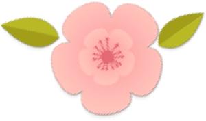 快递未保价全额索赔成功怎么处理,快递未保价丢了怎么赔偿