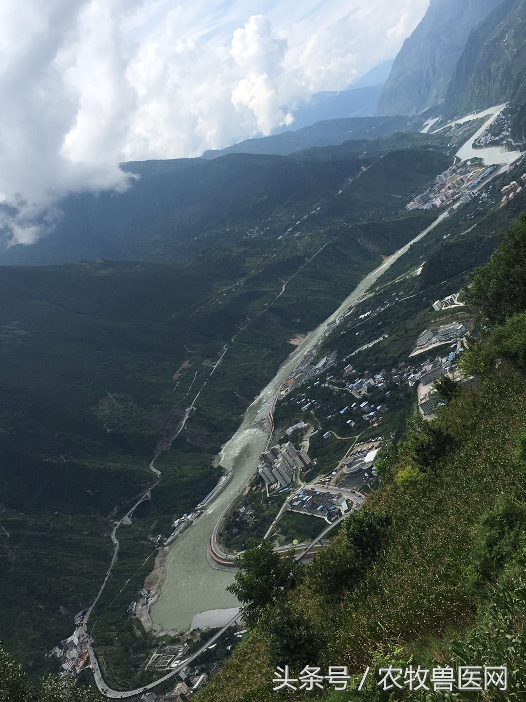 2021执业兽医考试科目,执业畜牧兽医考题