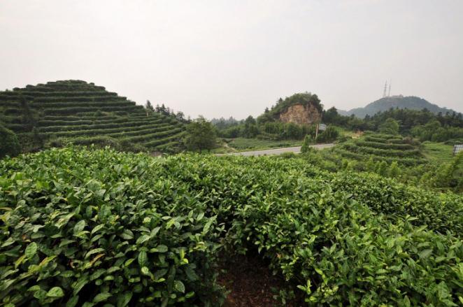 重庆巫溪奉节旅游,巫山奉节巫溪景色