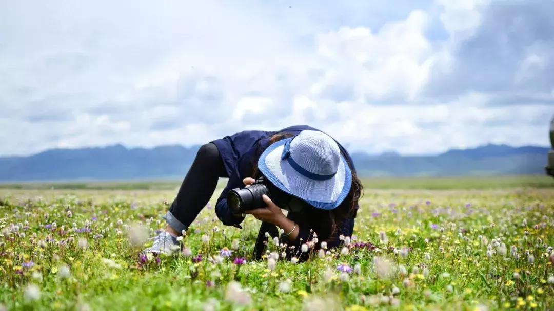 川西旅游若尔盖大草原,川西旅游攻略若尔盖草原
