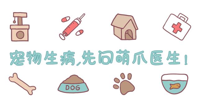 猫咪的10个特征图解,猫咪的性格怎么判断