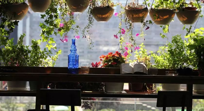 成都嗨吧哪里最好玩,成都住宿哪里便宜又方便民宿