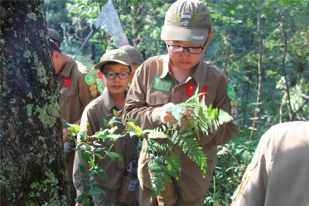 带小孩来田间地头体验生活,带孩子体验一下田间生活