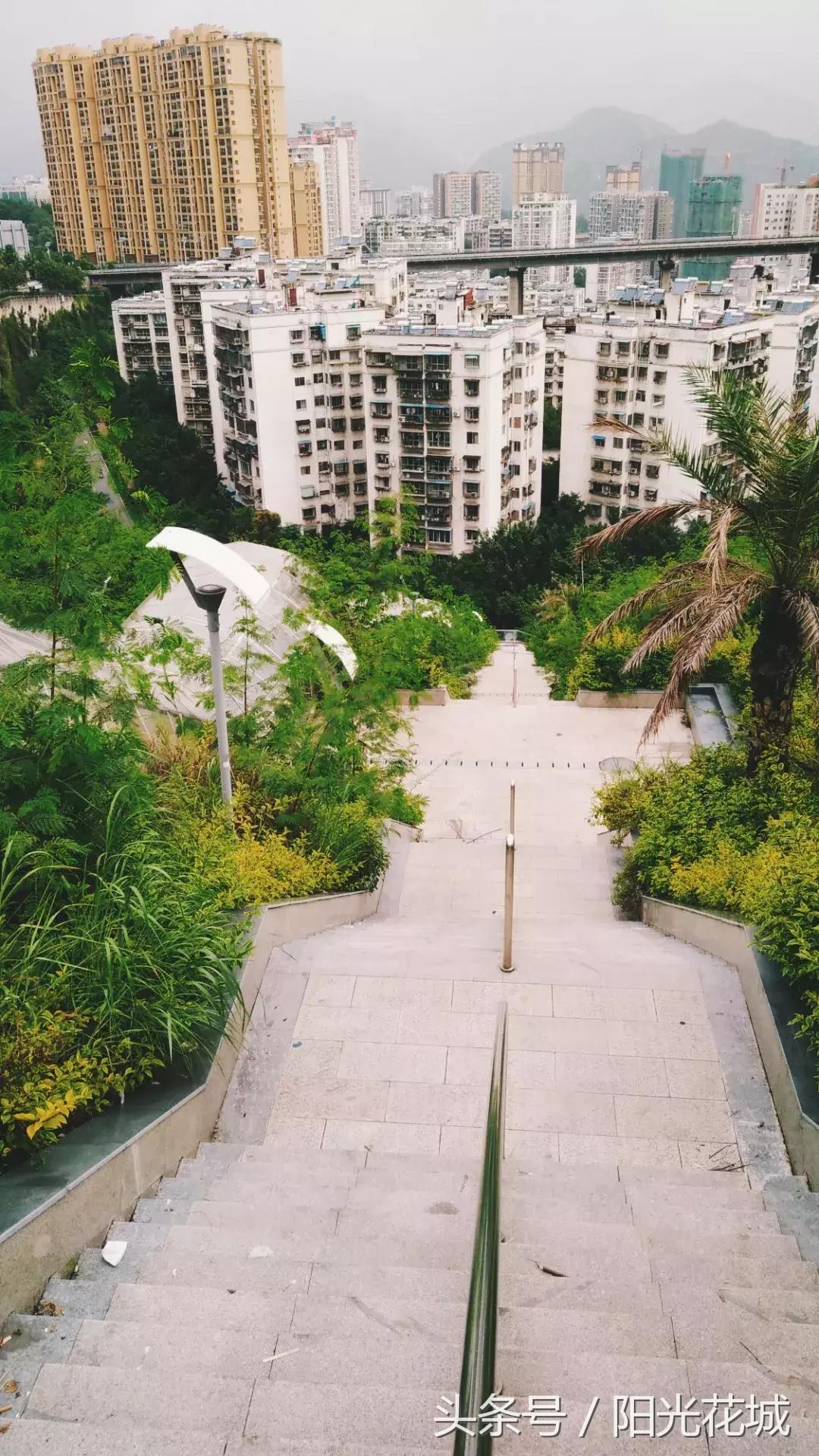 攀枝花的路有多陡,攀枝花最陡的坡