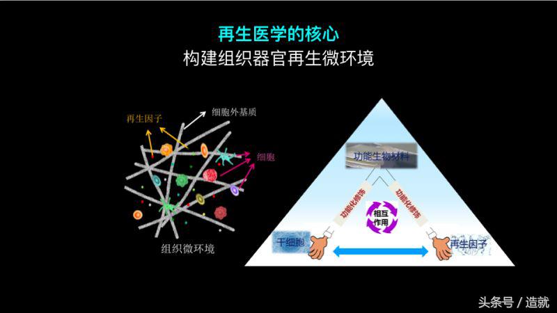 器官移植是否解决了疾病问题,器官移植什么病