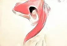 非语言表达法教学,非言语心理治疗