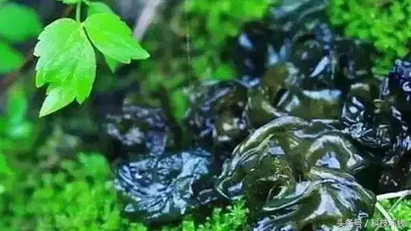 刘铭‖家乡有座山叫下角砠