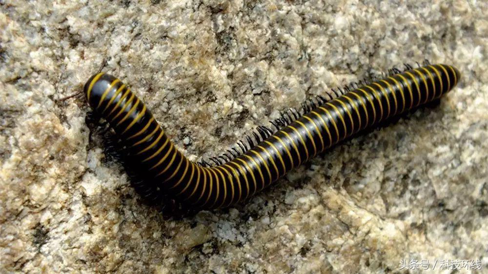 刘铭‖家乡有座山叫下角砠