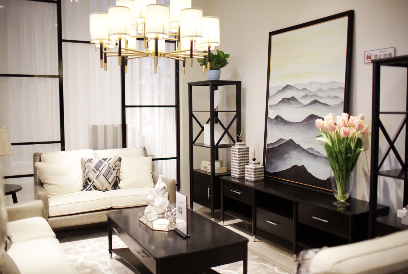 台升家具有限公司视频,台升家具现状