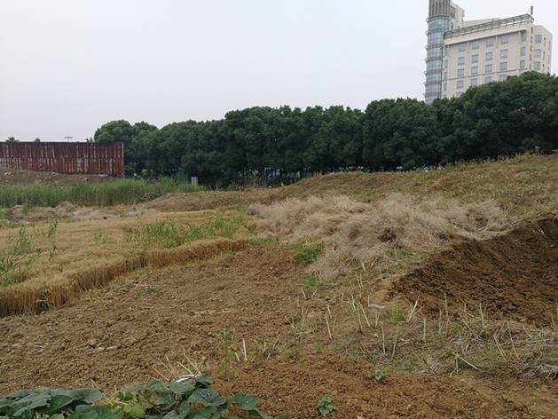 10年多的老腊肉,10年以上老腊肉