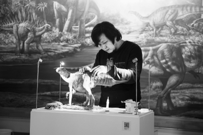 跟赵闯学画恐龙的视频,赵闯画恐龙