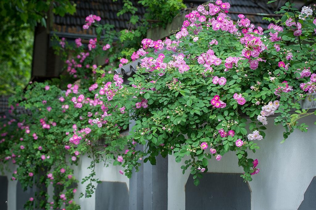 南京颐和公馆｜精致民国风、百年建筑、开启属于自己的民国往事