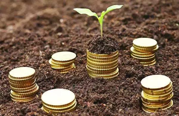 温州跑网约车的收入情况,温州跑网约车收入怎么样