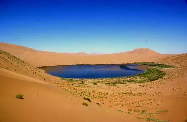 蚂蚁沙漠种树,蚂蚁森林沙漠种树航拍