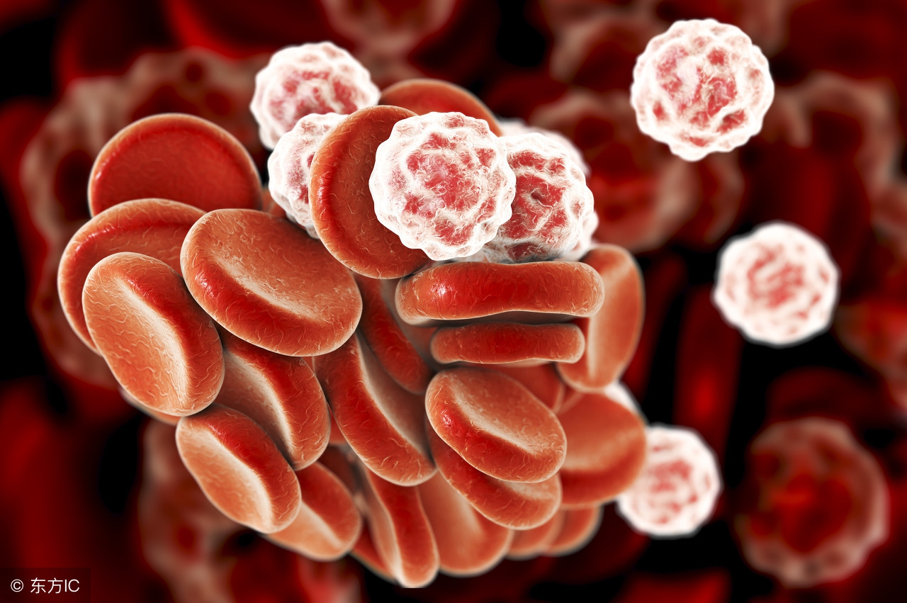 白细胞低中医饮食怎么调理,白细胞偏低要吃什么来调养