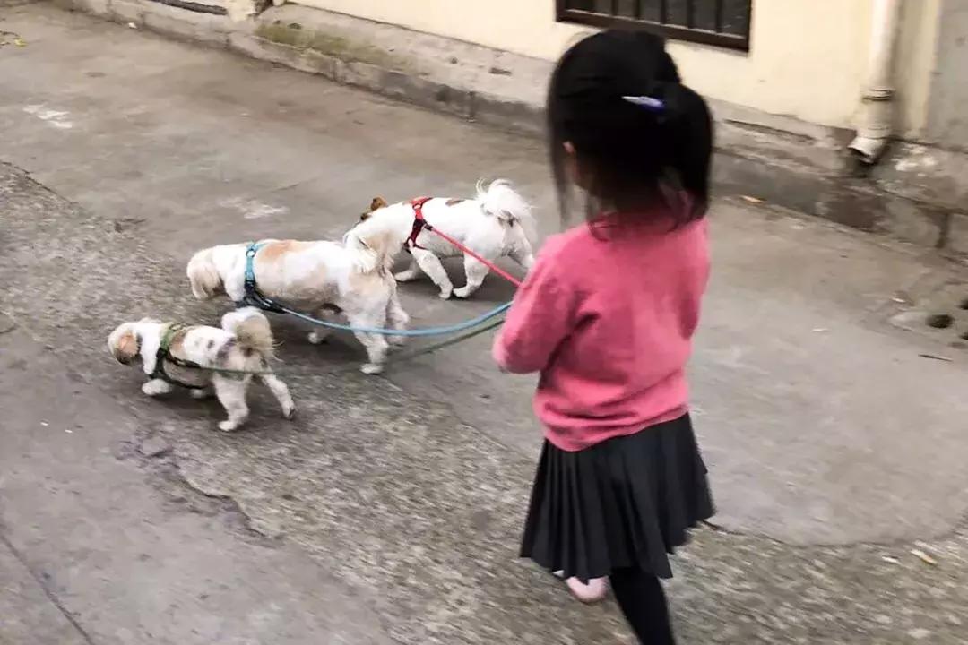 出身底层却逆袭的人,出身底层的漂亮女孩有多惨