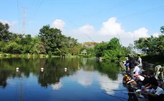 仙岛景区人气爆棚,如何让旅游景区淡季不淡