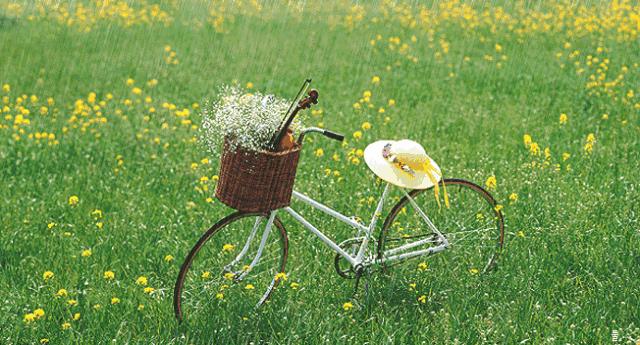 草坪该如何养护管理,楼顶花园草坪选择哪种比较好