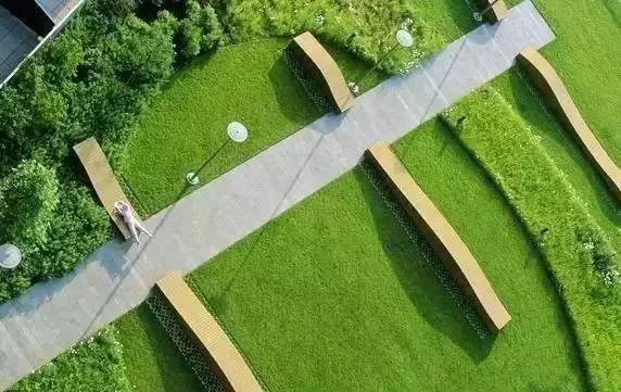 草坪该如何养护管理,楼顶花园草坪选择哪种比较好