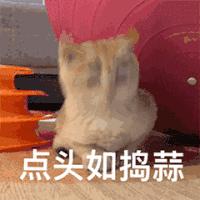 自从迷上*戏调**某宝客服后,我不会说话的毛病就被治好了