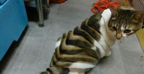 笑笑笑死我了,笑笑笑死人