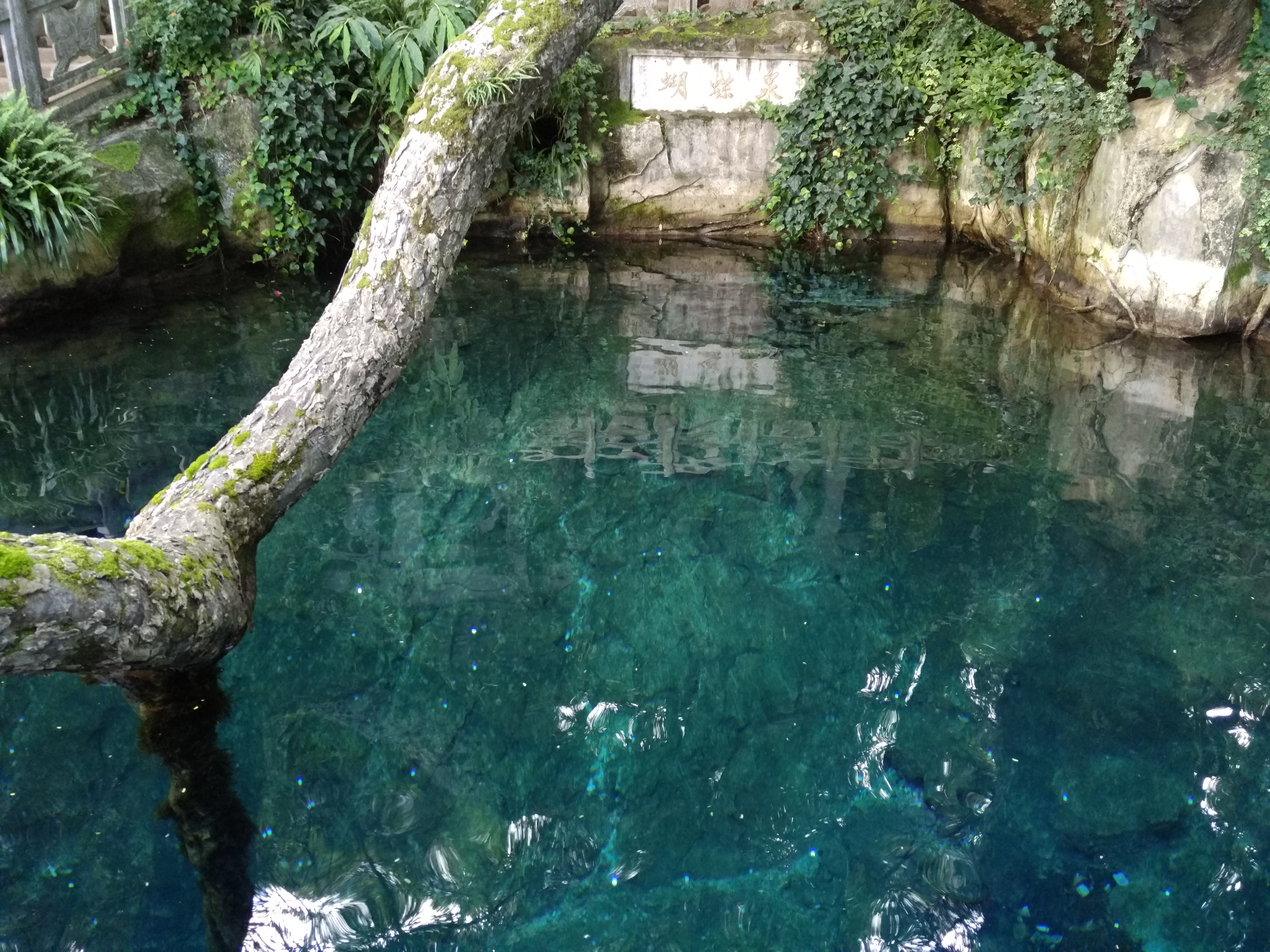 大理丽江香格里拉五日游自驾,云南自驾游昆明大理香格里拉丽江