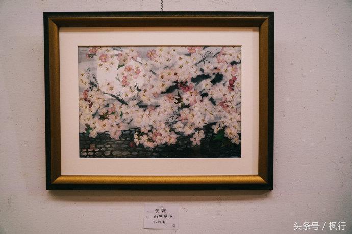 到熊本旅行自由行攻略,到熊本旅游自由行路线