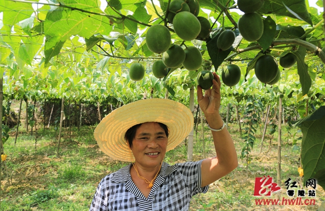 脱贫路上的笑脸总有一张打动你,脱贫攻坚群众幸福的笑脸