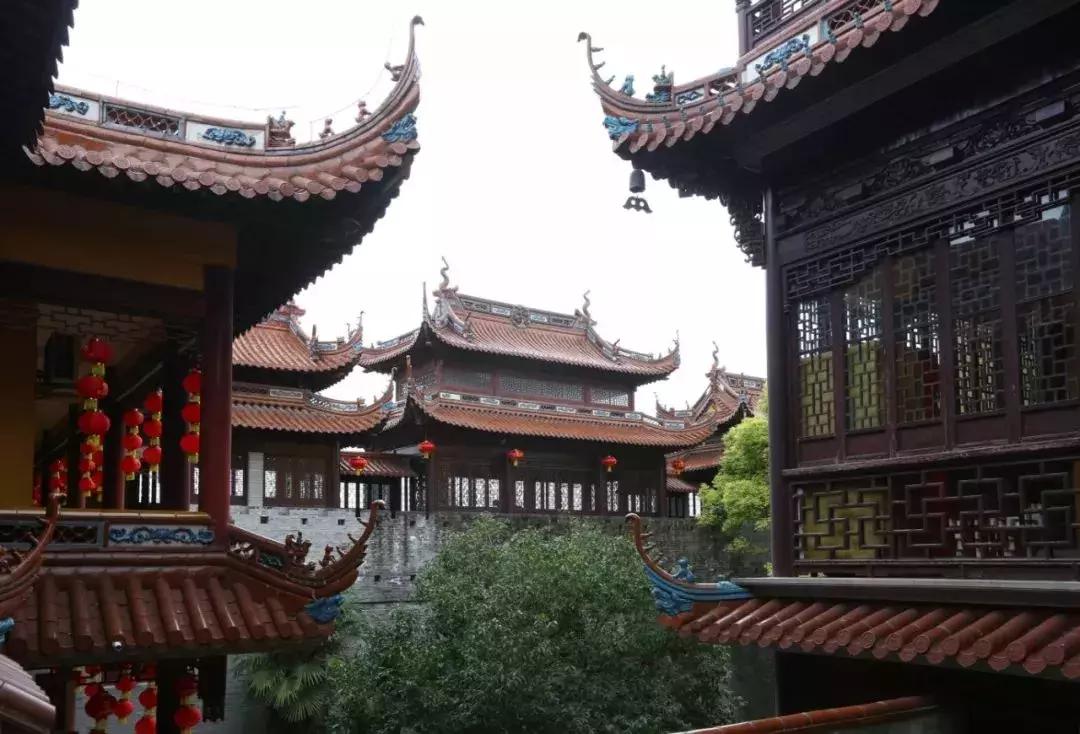 打造700亩湿地公园需要多少钱,国家森林公园奉贤