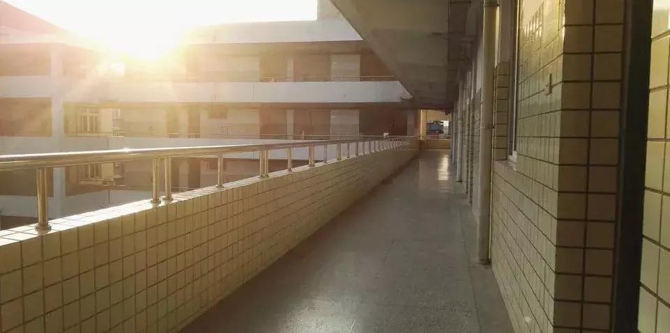 再见合肥师范完整视频,合肥二中校园