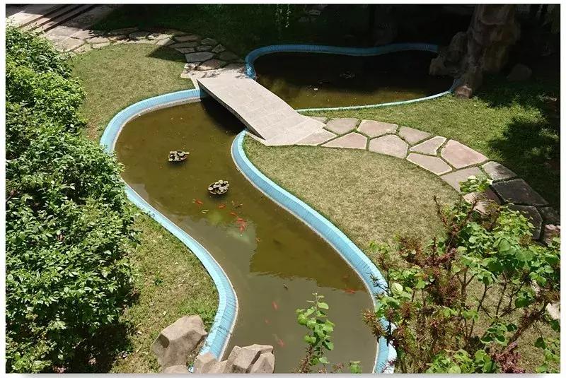 再见合肥师范完整视频,合肥二中校园