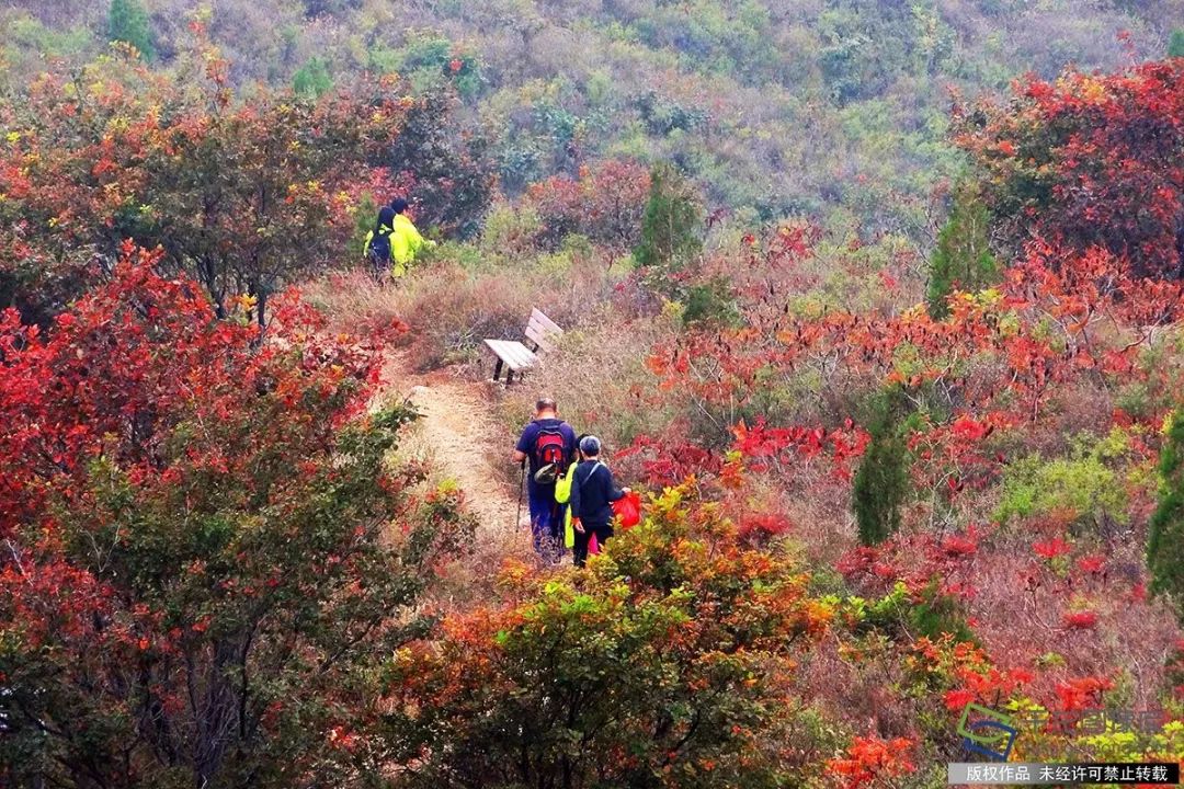 京城十六城,北京旅游攻略拍照景点