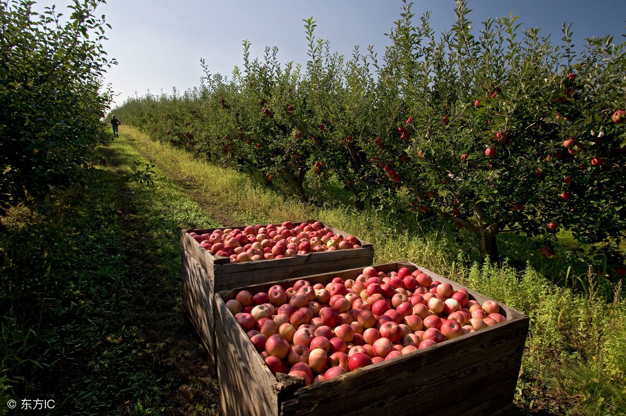 自媒体运营入门教程视频,自媒体运营从入门到精通教程