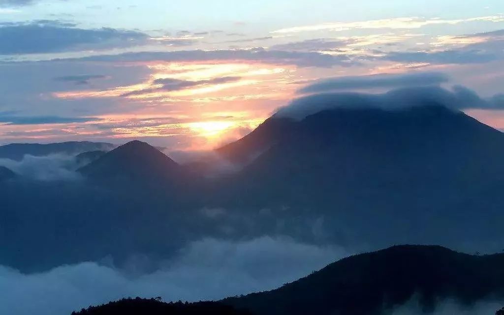 魏璎珞能成功背后的人性,魏璎珞情商到底有多高