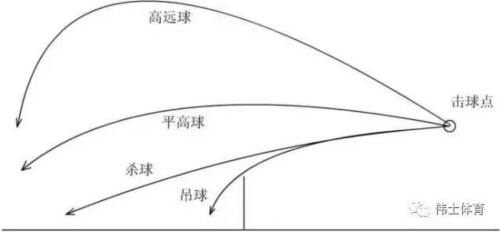 羽毛球：平高球、平射球和网前小球