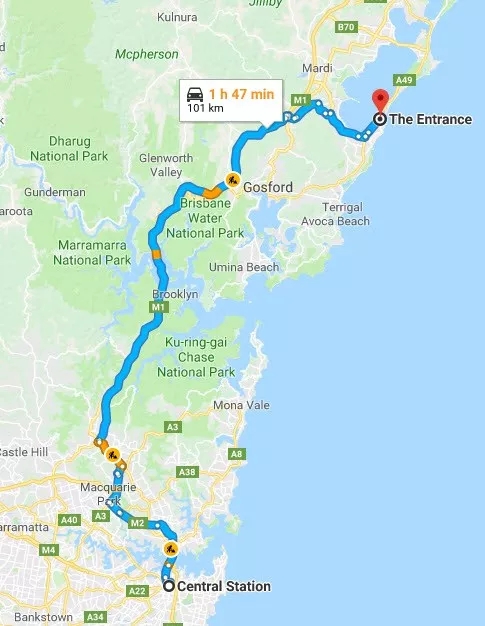 出走澳洲：到鹈鹕之都赏三面水景，观群鸟争食