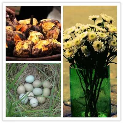 一个养牛少妇在床上说的话：白天养牛，晚上还要……