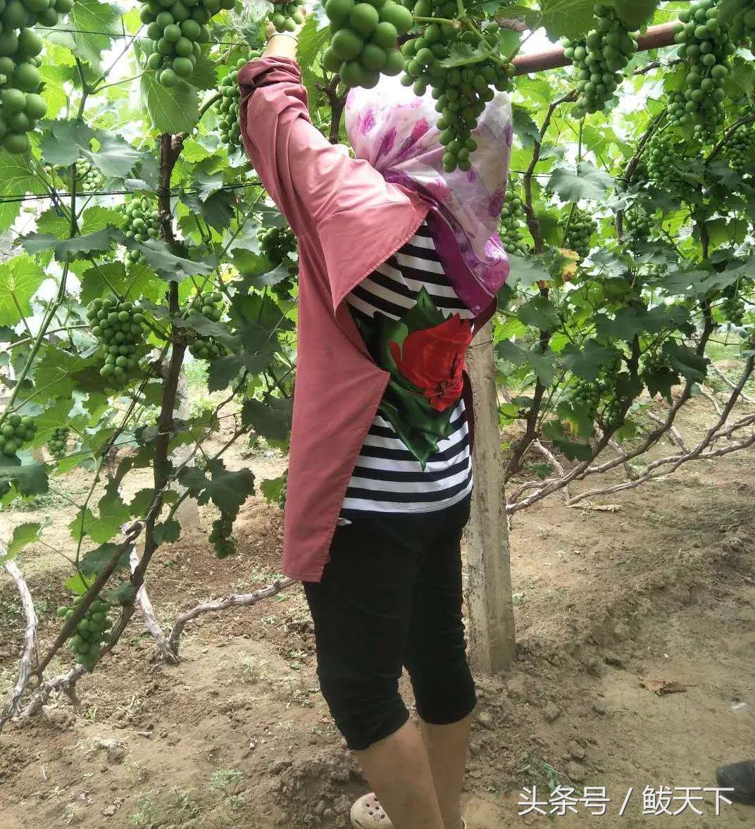 营口发布四个“十大名单”!鲅鱼圈这些人的上榜原因很感人