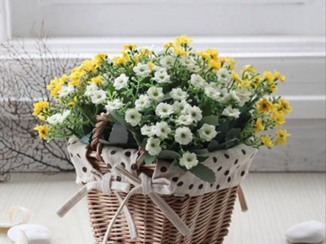 米兰花掉叶子的原因与解决方法,米兰花叶片发黄掉落怎么救