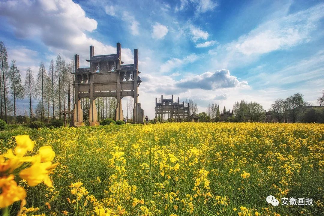 风华正安徽｜画说黄山：十里红妆唱徽商，千载名郡谱新章