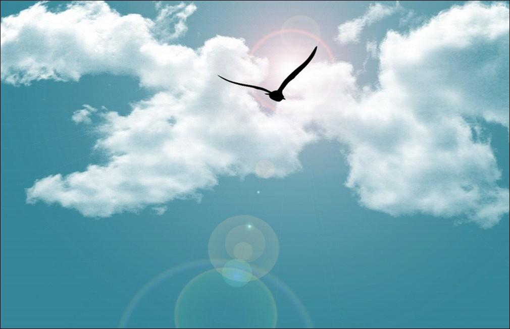 百看不厌的经典小说,百看不厌的一部小说