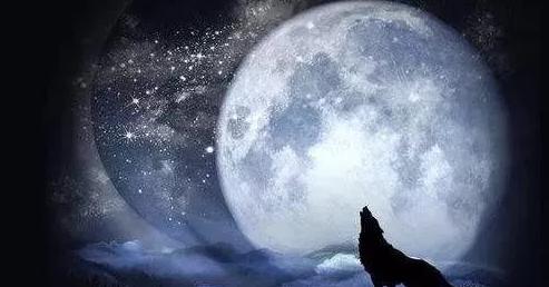 网络营销推广什么方法最有效,网络营销推广有哪些方法呢