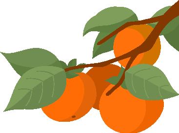 黑龙江一地迎来入秋最低温,黑龙江什么时候进伏天