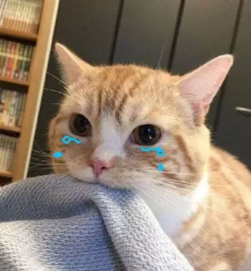 直男你有一份七夕生存指南,直男不迷茫七夕保命清单来了