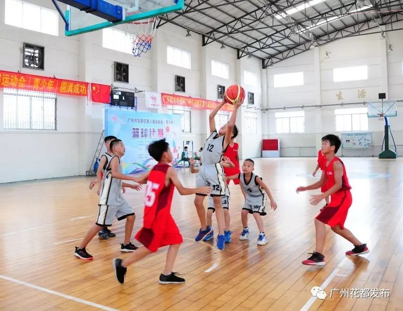 「关注」娃娃兵上演篮坛争霸战！花都区第八届运动会青少年篮球比赛落幕