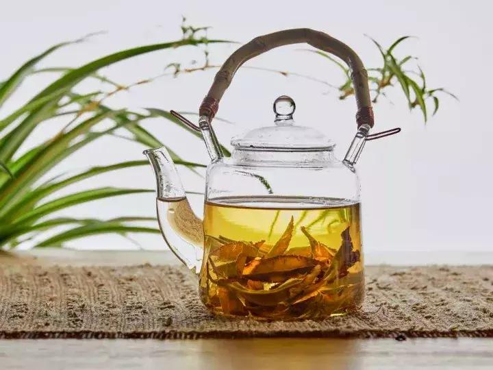 如何防止盆底烂根发生,十种不烂根的盆底垫