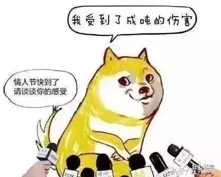 浪漫的表白视频模板,七夕表白网站制作工具