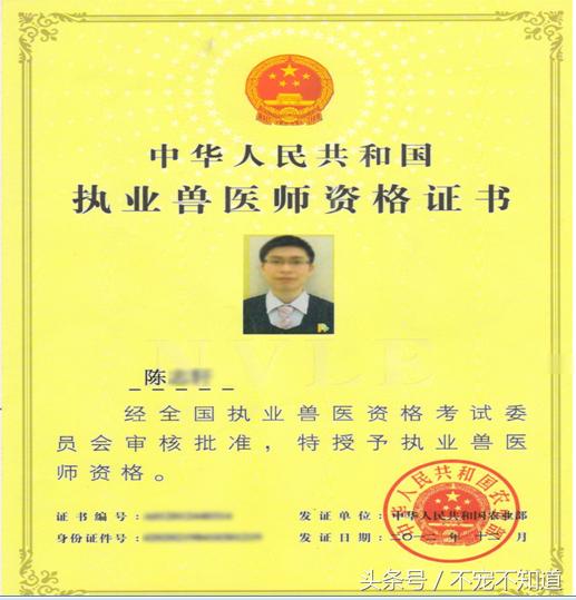 宠物医院良心诊疗在哪里,最近的宠物诊所在哪里