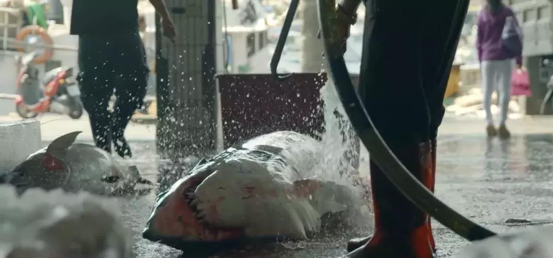 如果没有这部9.6，血腥猎奇的电影还要骗我们多久？